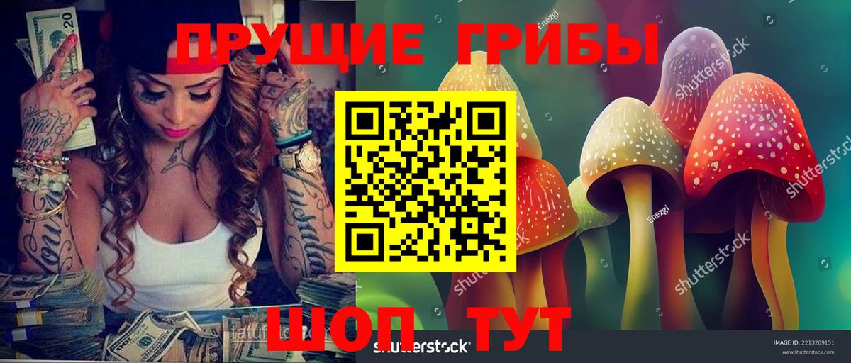Галлюциногенные грибы прущие грибы  Галлюциногенные грибы MAGIC MUSHROOMS  Сызрань  Вход с VPN 